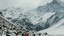 7 days Annapurna MBC Trek