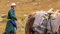 2 days horse trek in Naiman nuur and the central part of Mongolia 8 days
