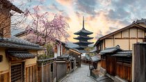 Kyoto Full-Day Private Tour (Osaka departure) with Government-Licensed Guide