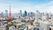 Tokyo 4hr Private Tour with Government-Licensed Guide