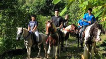 Horseback Riding 1 hour trail
