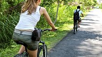Private Lombok Cycling Tour : Lingsar Temple, Rice Field, Village & Market Tour