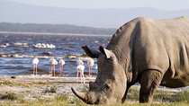  2 days L.Nakuru, L.Naivasha & Crescent Island tour From Nairobi