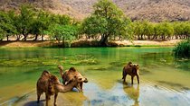 11 Days Tour Muscat and Salalah