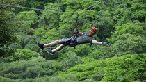 Guanacaste Forest Zipline (Tamarindo, Playa Grande, Flamingo, Potrero)