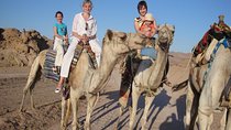 5 in 1 desert adventure in Sharm el Sheikh