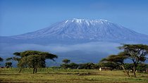 Day trip to Kilimanjaro Hike to Mandara Hut
