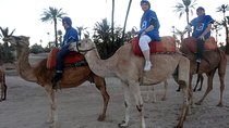 Marrakech Palmeraie 1-Hour Camel Ride