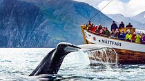 Traditional Oak Ship Whale Watching Tour From Husavik