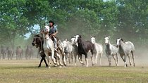 Gaucho Fiesta with lunch - full day tour