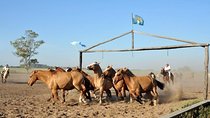 Gaucho Fiesta with lunch - full day tour for Cruise passengers