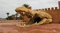 Effortless Agadir Crocoparc Ticket and Transfer Service