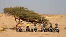 Aladin Safari Excursions From Marsa Alam