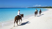 Private Macao Beach horseback riding in punta cana