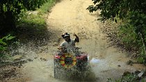 Quads ATV Off Road Jungle Adventure