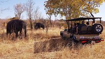 Full Day Hwange Safari