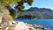 Highlights of Provence : food, wine and seaside in Cassis and Aix