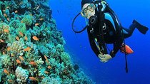 Sharm El-Sheikh: Red Sea Scuba Diving Day Trip
