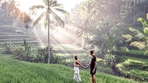 Magical Ubud Rice Terrace Tour (Private & All-Inclusive)