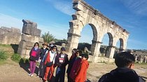 Volubilis and Meknes Day Tour from Fez (private tour)