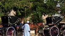 Horse carriage in Aswan