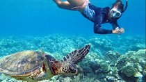 All INCLUSIVE Bali snorkeling at blue lagoon and tanjung jepun