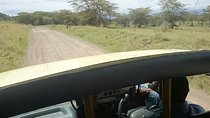 Tour Nairobi National Park