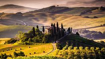 Wine Tasting in Tuscany: full-day private tour from Rome