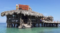 Pelican Bar south coast experience, Appleton Rum Tour and YS Falls