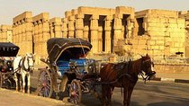 Private Luxor City tour by Horse Carriage 