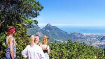 Tijuca Forest Challenge Full-Day Hike (Small-Group or Private)