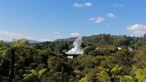 4-Day Auckland to Wellington via Rotorua Tour