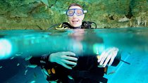 Cenotes diving from Riviera Maya