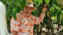 Award Winning Farm Tour: Coffee, Chocolate and Unique Gifts