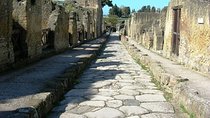 Pompeii Herculaneum Oplontis From Naples