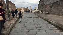 Pompeii Sorrento and Wine Tasting Tour from Naples