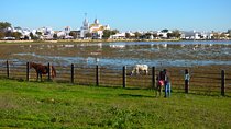 Doñana National Park in 4x4 and El Rocío