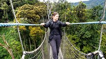2 days Canopy walk and Chimpanzee trekking