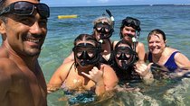 Hawaii's #1 Private Tour With Snorkeling at Turtle Beach