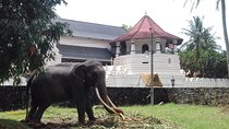 Colombo to Kandy Private Day Tour