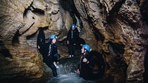 Black Abyss: Ultimate Waitomo Caving - Private Tour from Auckland