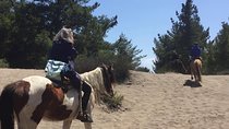 Horse Ride & BBQ in Ritoque Beach&Dunes FROM VALPO. Private Tour