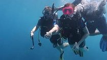 Portghalib Intro Diving Trip From Marsa Alam
