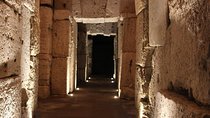Colosseum Underground Tour with Gladiators Arena in a Group