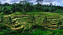 Ubud Customized Tour All-Inclusive