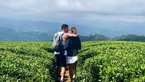 A Day in Nuwara Eliya: Sights & Local Delights