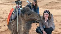 Overnight Small-Group Desert Tour from Fez with Camel Ride and Desert Camp