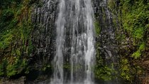 Materuni Waterfall and Coffee tour, Tanzania