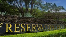 Private Round Trip Service: From Liberia Airport To Reserva Conchal