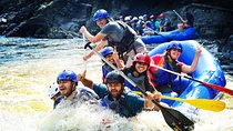 Nuwaraeliya Day Tour & Kithulgala Water Rafting from Kandy,Colombo or Ella